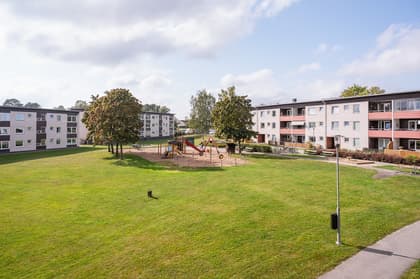 Bild av närområdet