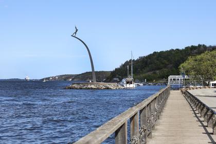 Bild av närområdet