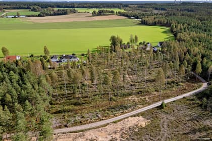 Bild av närområdet