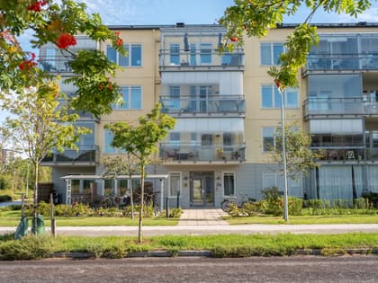 Bild av närområdet