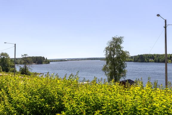 Fjäl 313, Timrå