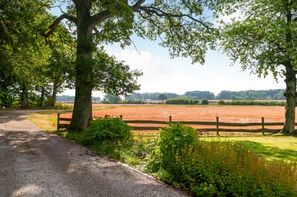 Bild av närområdet