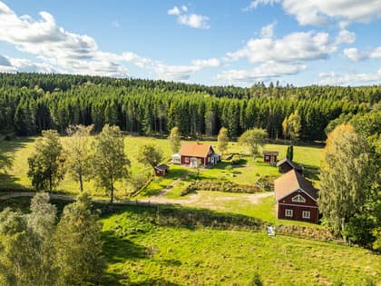 Bild av närområdet