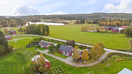 Bild av närområdet