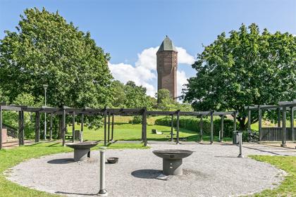 Bild av närområdet