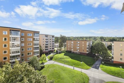 Bild av närområdet