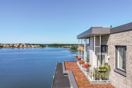 Bild av närområdet