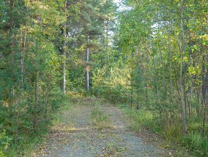 Illustrerad karta över fastigheten eller området