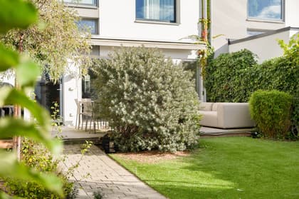 Dammsnäcksgränd 8, Kalkbrottet