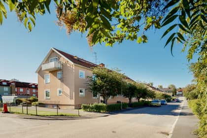 Bild av närområdet