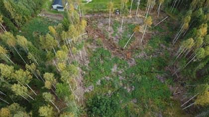 Illustrerad karta över fastigheten eller området