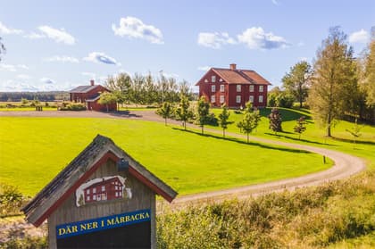 Bild av närområdet