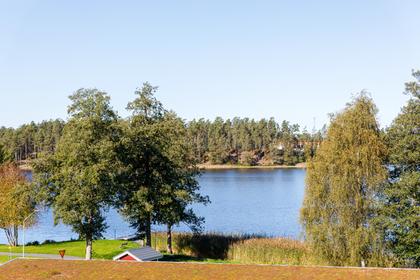 Bild av närområdet