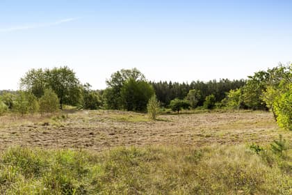 Bild av närområdet