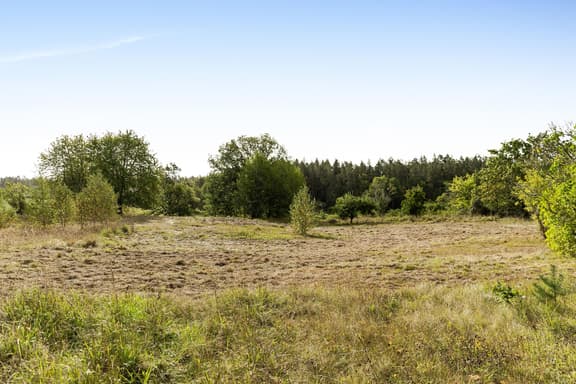 Syltvik Ängslyckan 1, Valdemarsvik