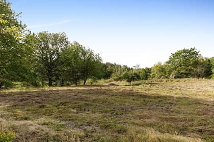 Bild av närområdet