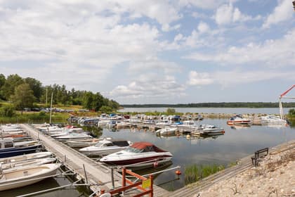 Bild av närområdet