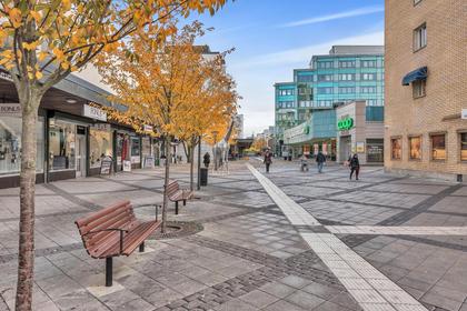 Bild av närområdet