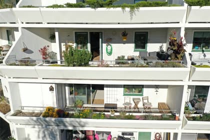 Bild av närområdet