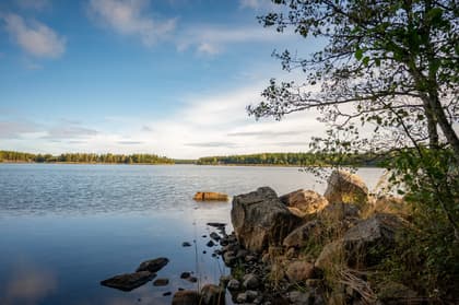 Bild av närområdet