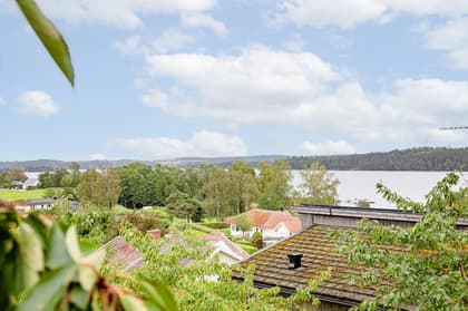 Bild av närområdet