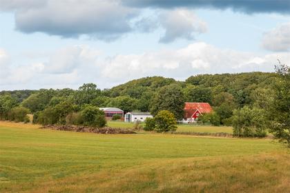 Bild av närområdet