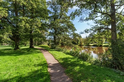 Bild av närområdet