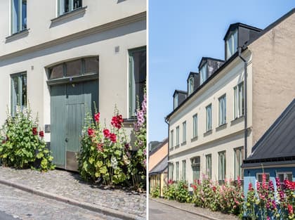 Bild av närområdet