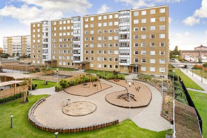 Bild av närområdet