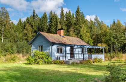 Bild av närområdet