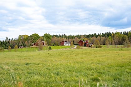 Bild av närområdet