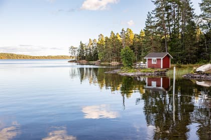 Bild av närområdet