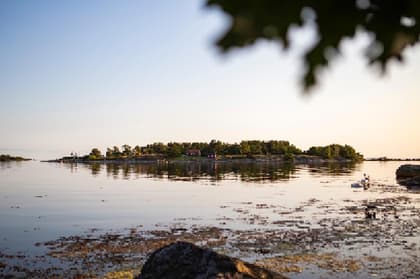 Bild av närområdet