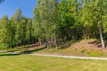 Bild av närområdet