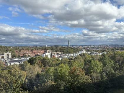 Bild av närområdet