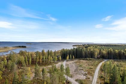 Bild av närområdet