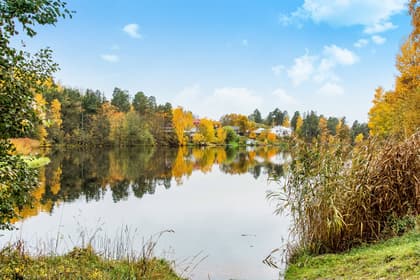 Bild av närområdet