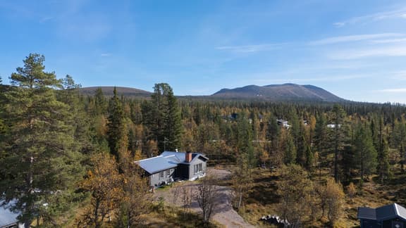 Uppvallen Lövsångaren 3, Härjedalen