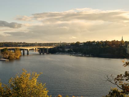 Bild av närområdet