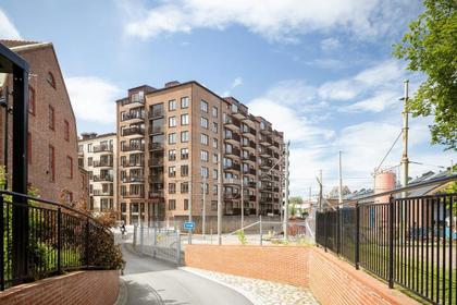 Bild av närområdet