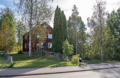 Bild av närområdet