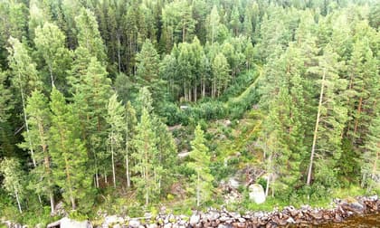 Illustrerad karta över fastigheten eller området