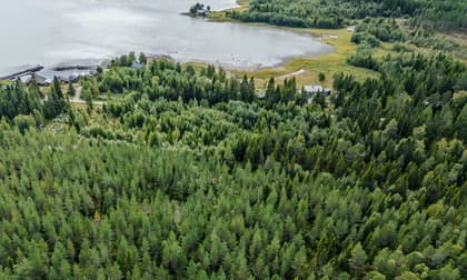 Illustrerad karta över fastigheten eller området