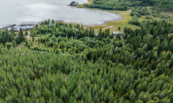 Skellefteå Blacke 2:26, Skellefteå