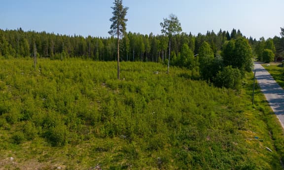 Gummark 1:66, Skellefteå