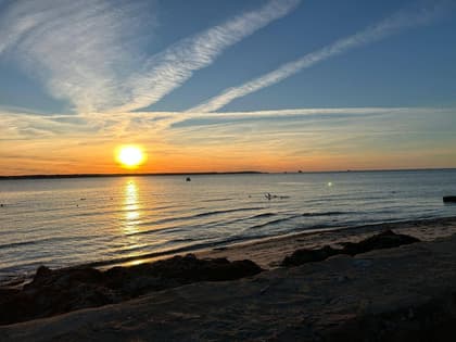 Bild av närområdet