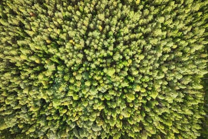 Illustrerad karta över fastigheten eller området