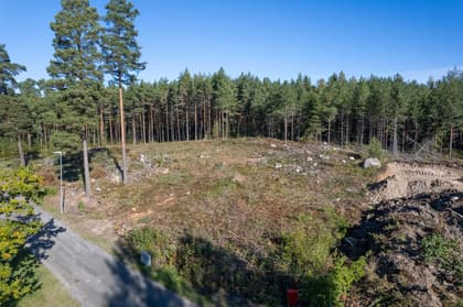 Bild av närområdet