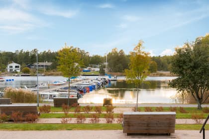 Bild av närområdet