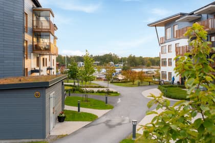 Bild av närområdet